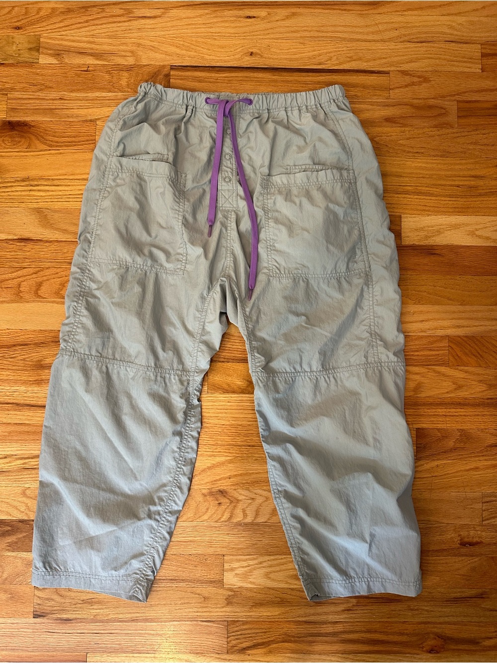 Free People Well Played parachute pants, sold out color